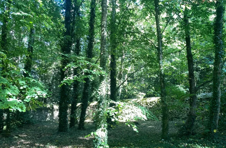 JARDINS_SOUSBOIS_moglais_cotesdarmor