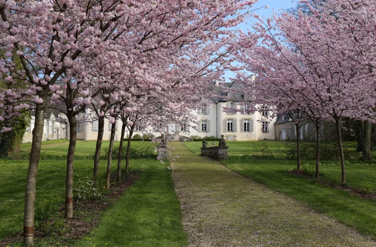 jardins_prunus_cerisier-moglais_cotesdarmor